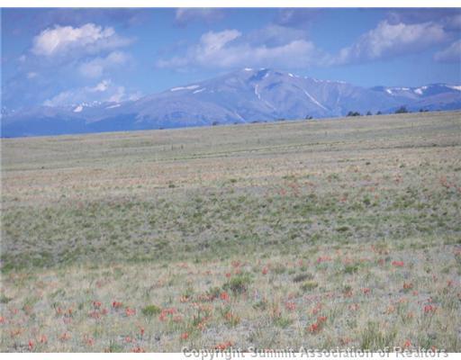 5685 Boulder Road Hartsel, CO 80449 - Photo 3 of 9