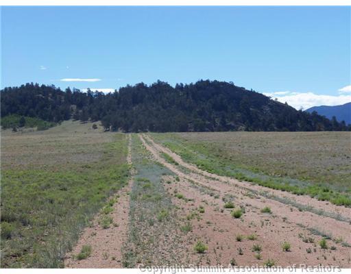 5685 Boulder Road Hartsel, CO 80449 - Photo 8 of 9