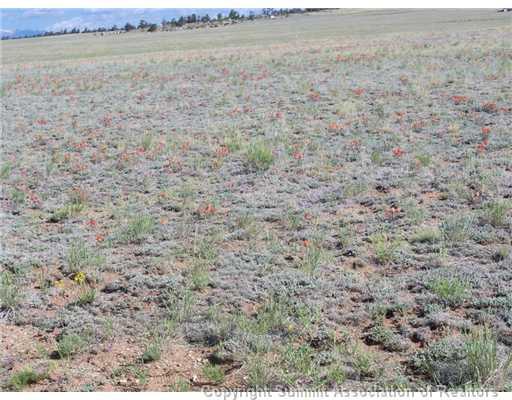 5685 Boulder Road Hartsel, CO 80449 - Photo 9 of 9