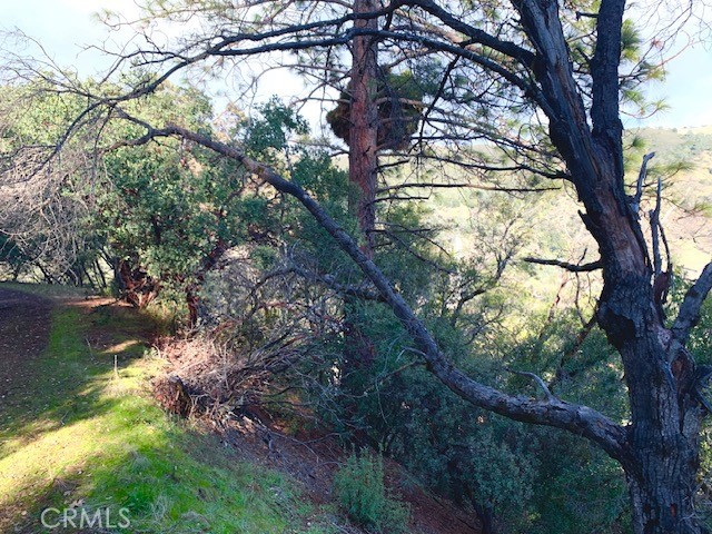 7333 Tehama Street Nice, CA 95464 - Photo 2 of 11 a view of lake from a tree