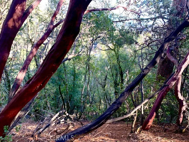 $3,550 | 7333 Tehama Street, Nice, CA 95464