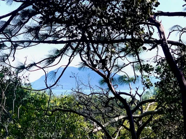 a sign that is sitting on a tree