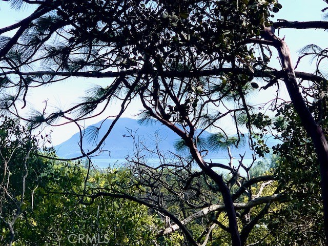 7333 Tehama Street Nice, CA 95464 - Photo 8 of 11 a sign that is sitting on a tree