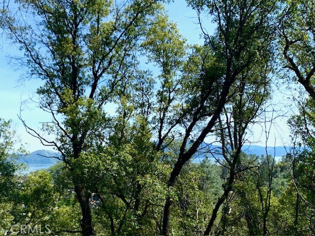 7333 Tehama Street Nice, CA 95464 - Photo 10 of 11 a view of tree