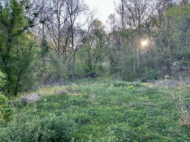 5.383-ac Falls Branch Road, Unit ROUTE 152 Lavalette, WV 25535 - Photo 7 of 9 Gallery Image 7