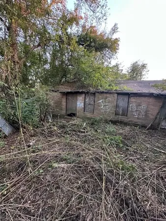 a view of a backyard