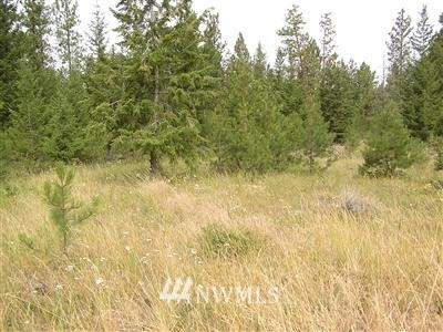-xxx Red Feather Loop Road Riverside, WA 98849 - Photo 1 of 1 Gallery Image 1