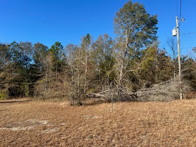 $32,500 | 0 Golden Eagle Lane, Hephzibah, GA 30815