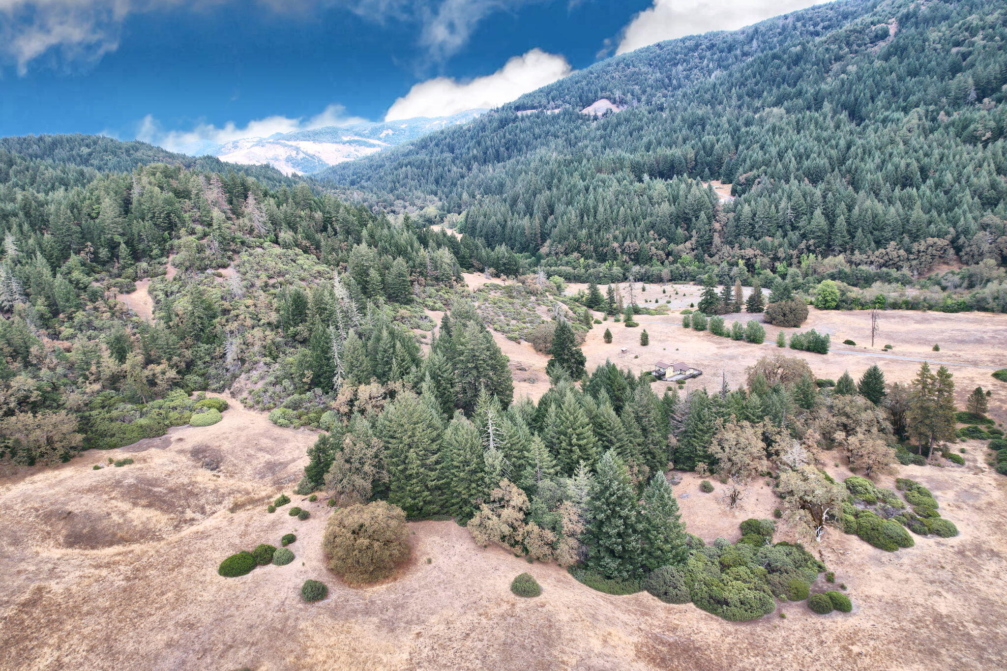 444 Newsome Road Bridgeville, CA 95526 - Photo 40 of 48
