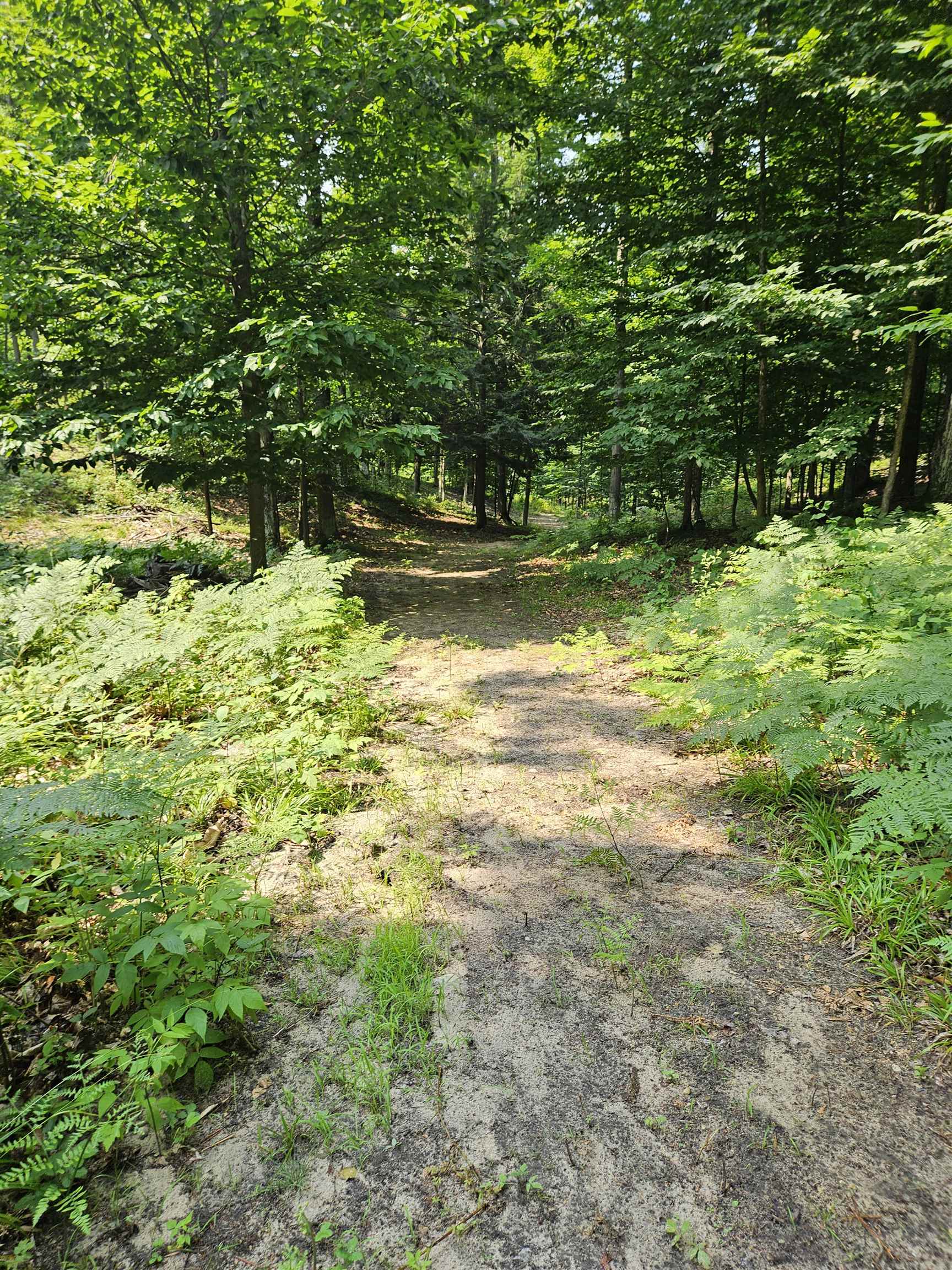 11268 Watson Road Williamsburg, MI 49690 - Photo 13 of 57