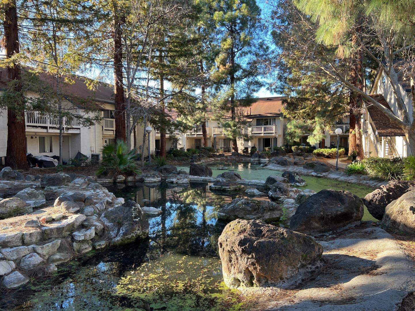 2223 Summereve Court San Jose, CA 95122 - Photo 1 of 29 a view of a park with large trees