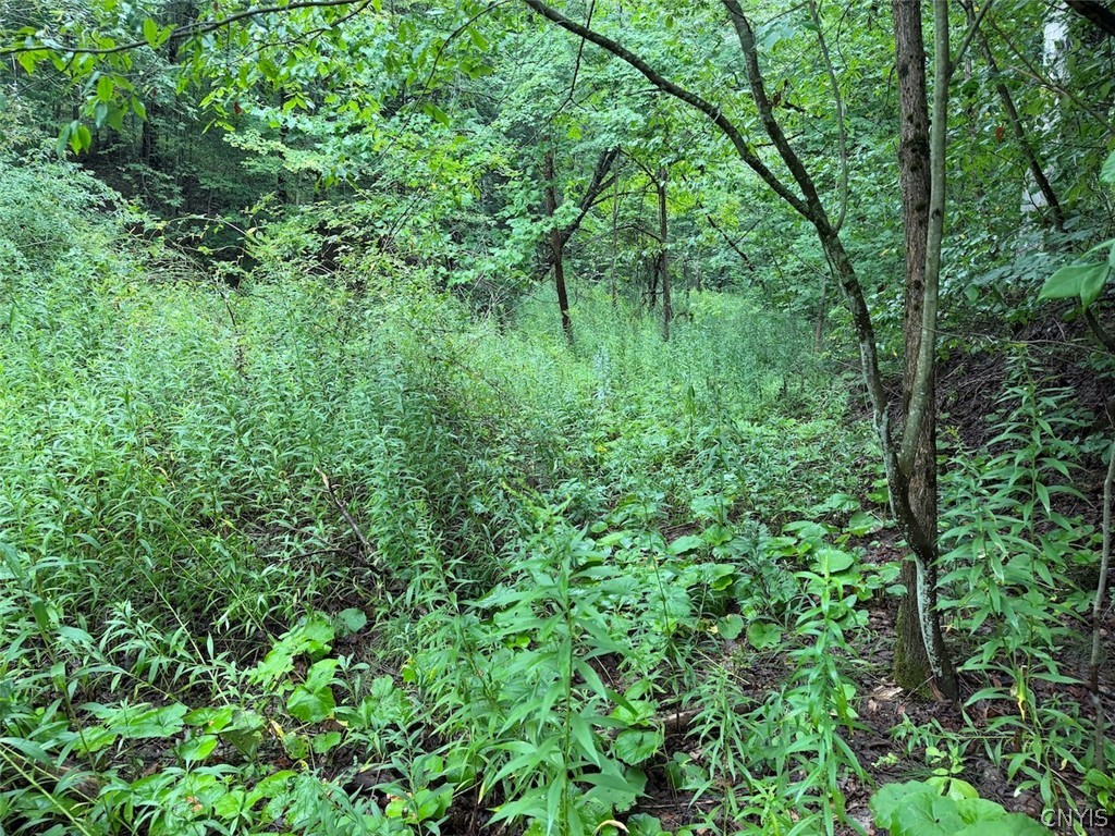 Creek Road Springville, NY 14141 - Photo 5 of 34 Gallery Image 5