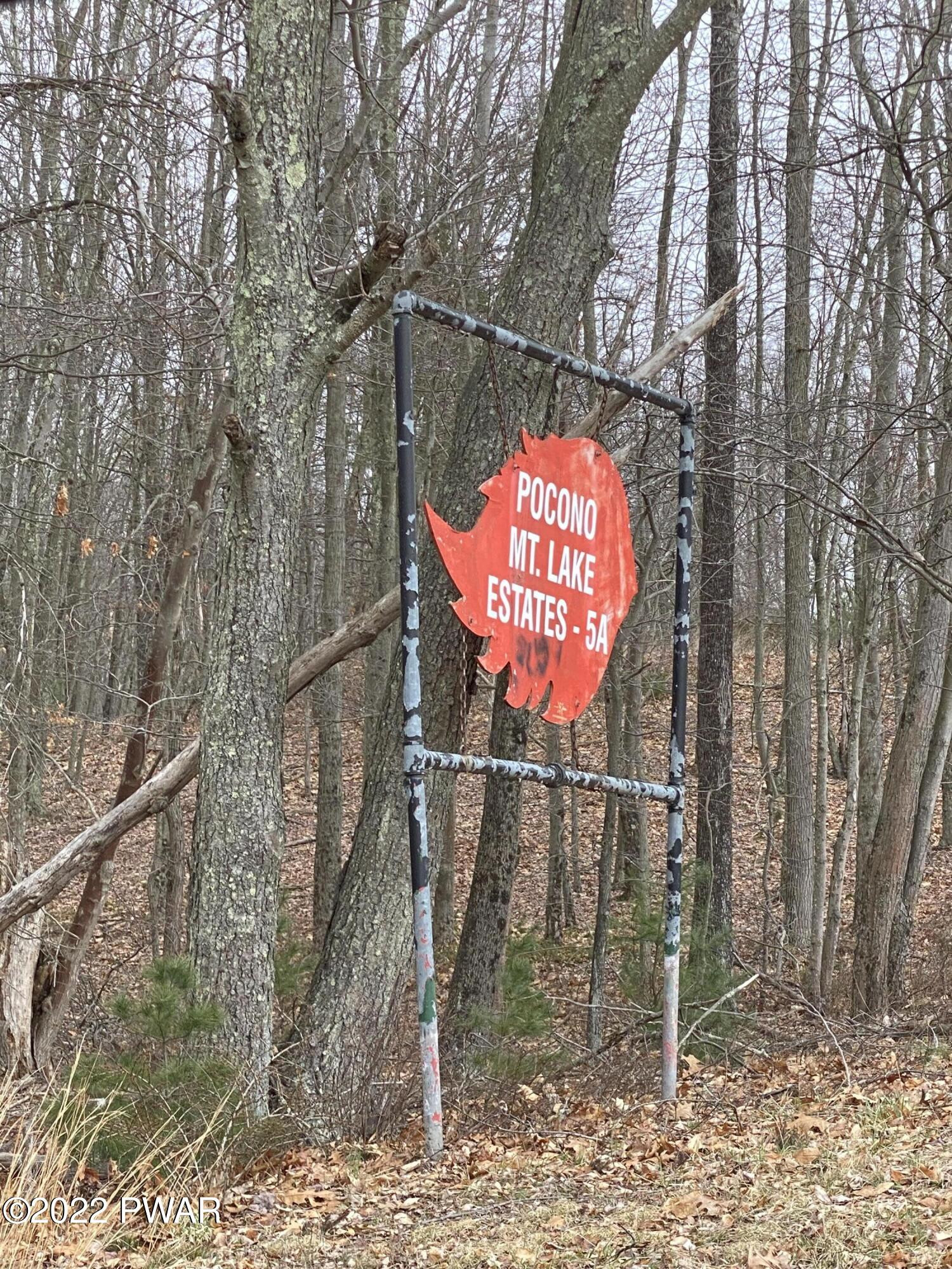 Lot 113 Tom Quick Road Dingmans Ferry, PA 18328 - Photo 4 of 5