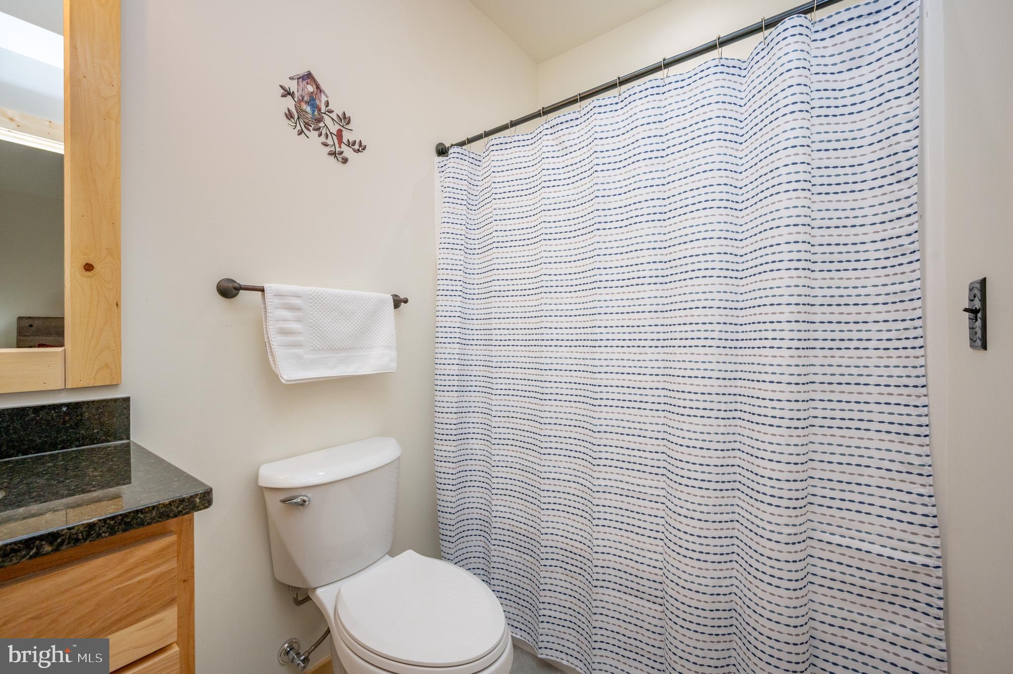 985 North Camp Road McHenry, MD 21541 - Photo 50 of 70