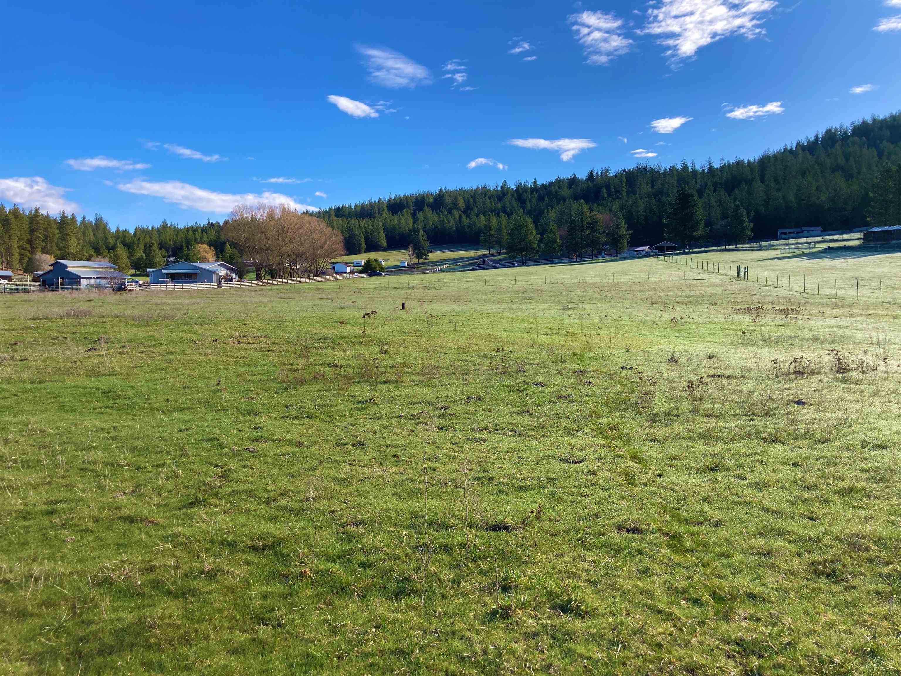 Tbd Tbd Winslow Road Colville, WA 99114 - Photo 3 of 17