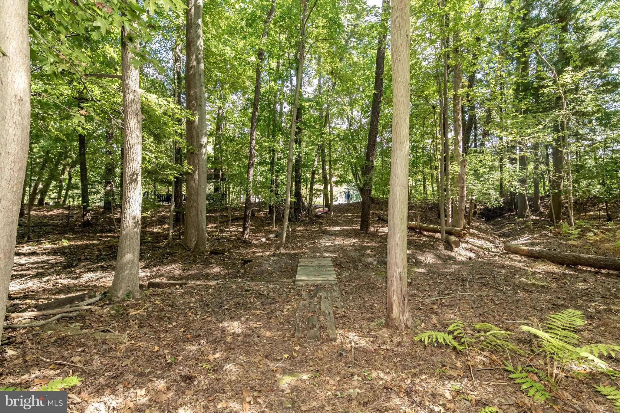 253 Hopewell Road Medford, NJ 08055 - Photo 46 of 50 a backyard of a house with lots of green space