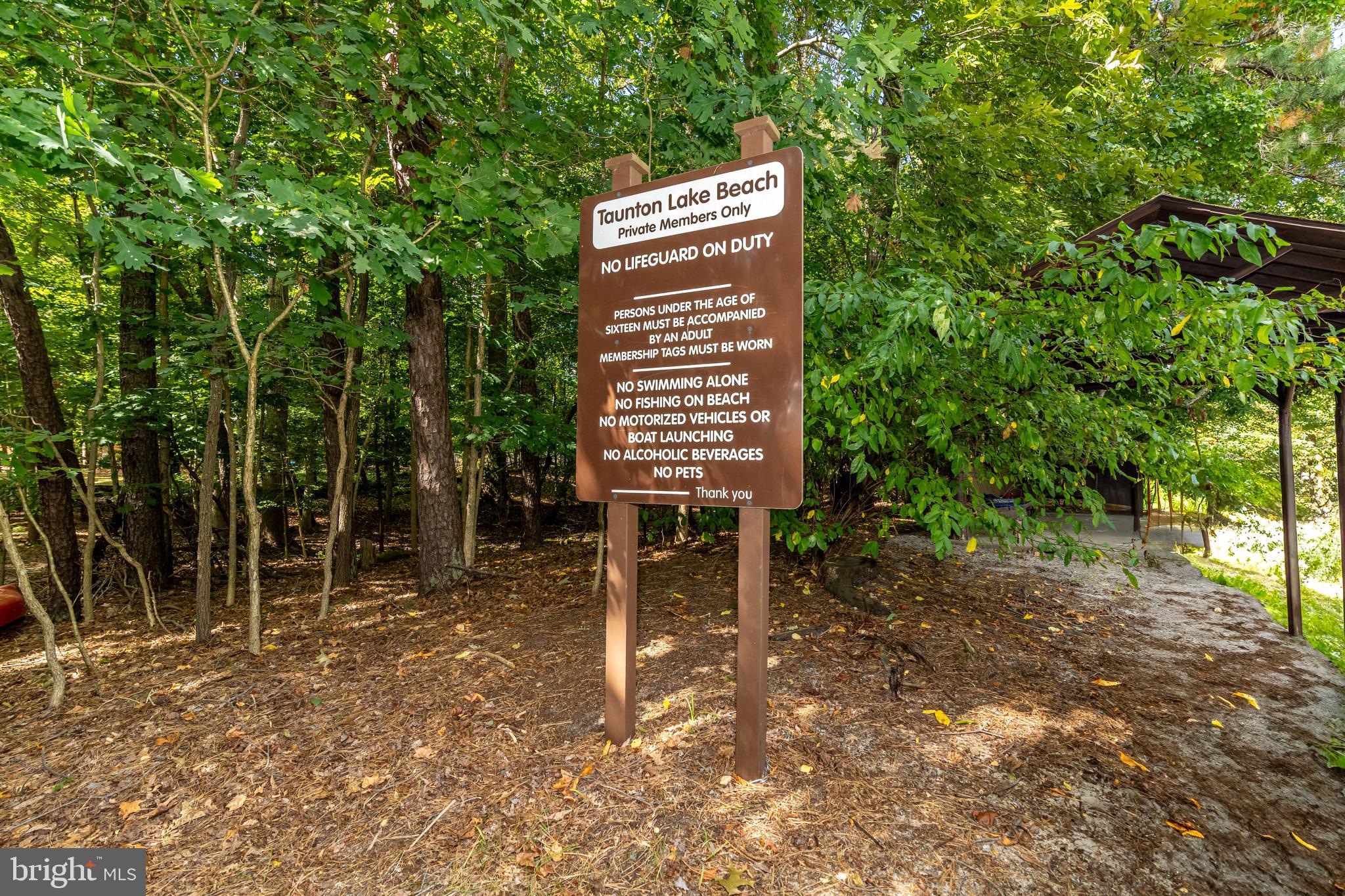 253 Hopewell Road Medford, NJ 08055 - Photo 47 of 50 Path the lake