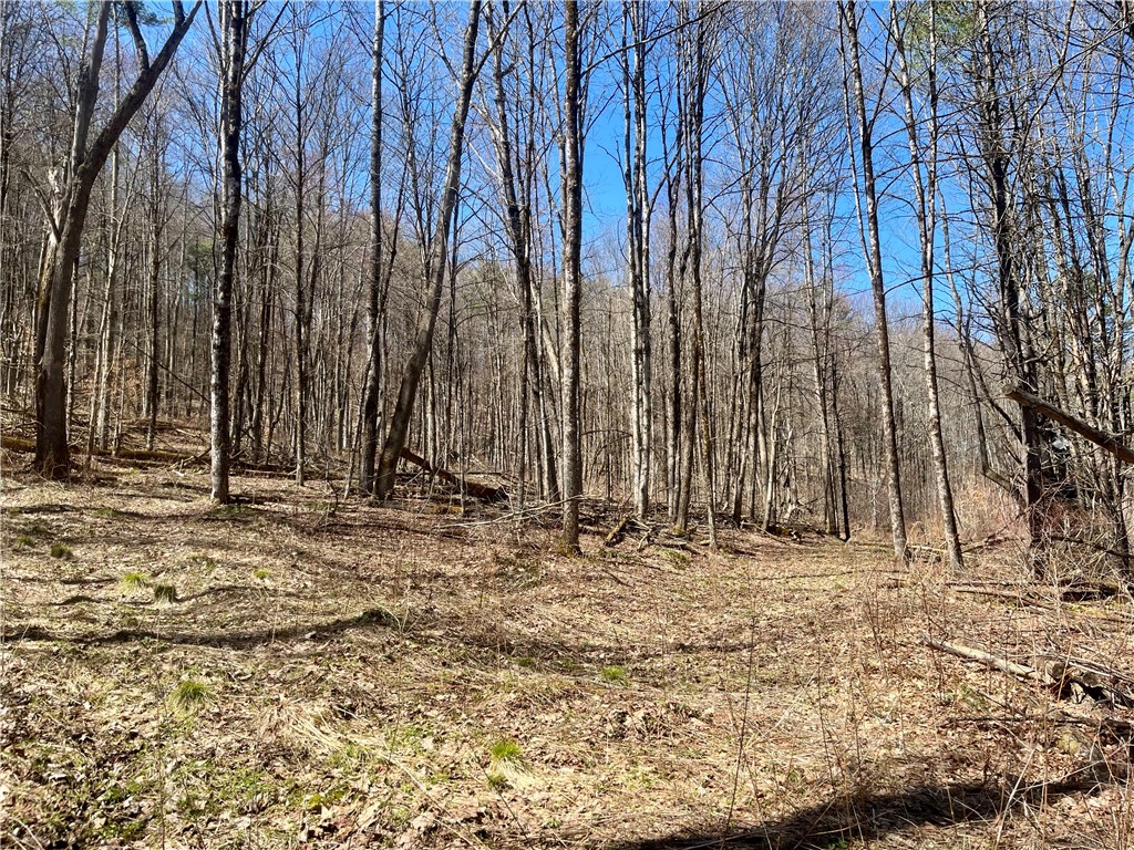 Chlorinator Road Milford, NY 13807 - Photo 3 of 11