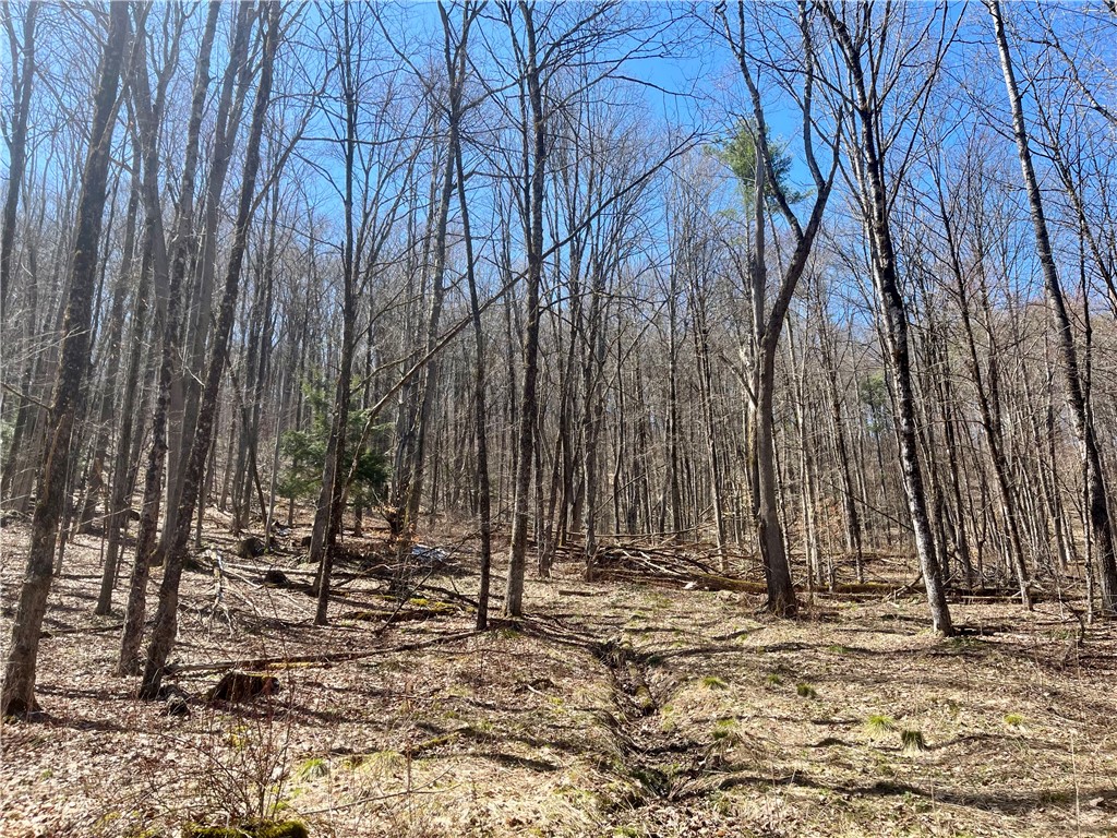 Chlorinator Road Milford, NY 13807 - Photo 8 of 11