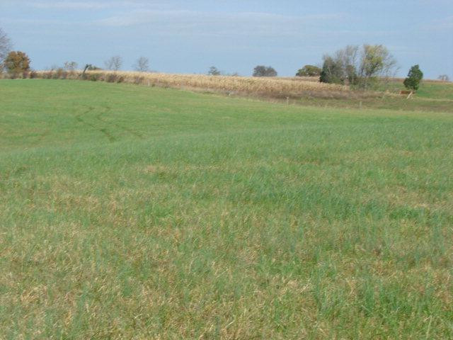 0 Ralph Park East Richmond, KY 40475 - Photo 32 of 37 Photo 32