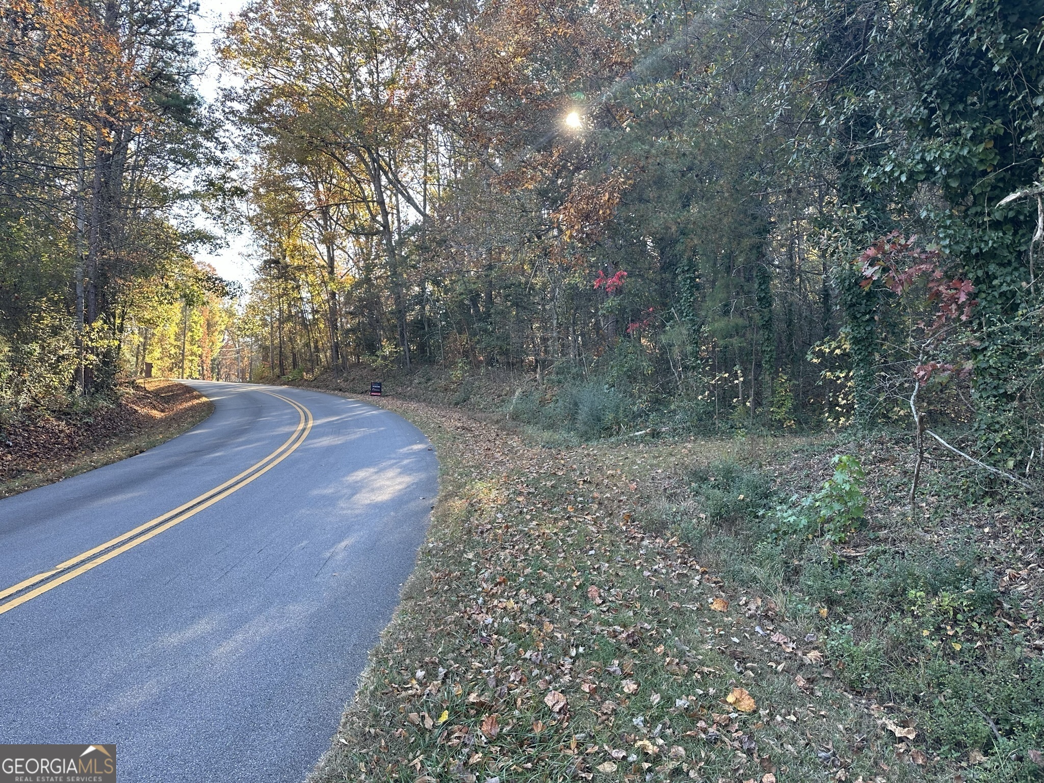5074 Lee Road Gainesville, GA 30506 - Photo 1 of 1 a view of a yard with trees