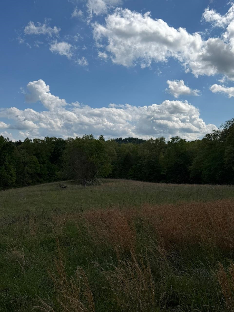 2395 Stringtown Road Sandy Hook, KY 41171 - Photo 13 of 13