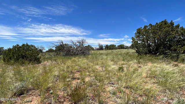 $115,000 | 5614 North Alta Villa Road, Williams, AZ 86046