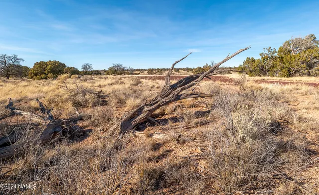 $115,000 | 5614 North Alta Villa Road, Williams, AZ 86046