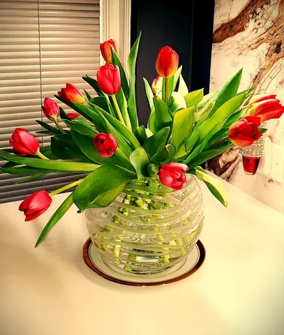 $515,000 | 6334 North Sheridan Road, Unit 3E, Chicago, IL 60660