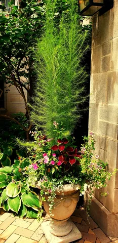 $515,000 | 6334 North Sheridan Road, Unit 3E, Chicago, IL 60660