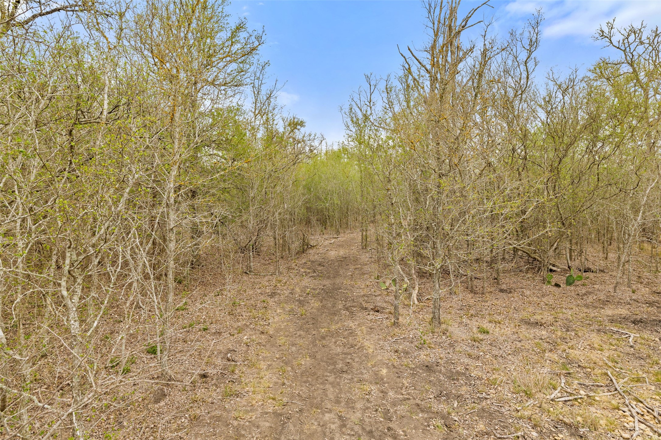 9426 Bock Road Buda, TX 78610 - Photo 11 of 33