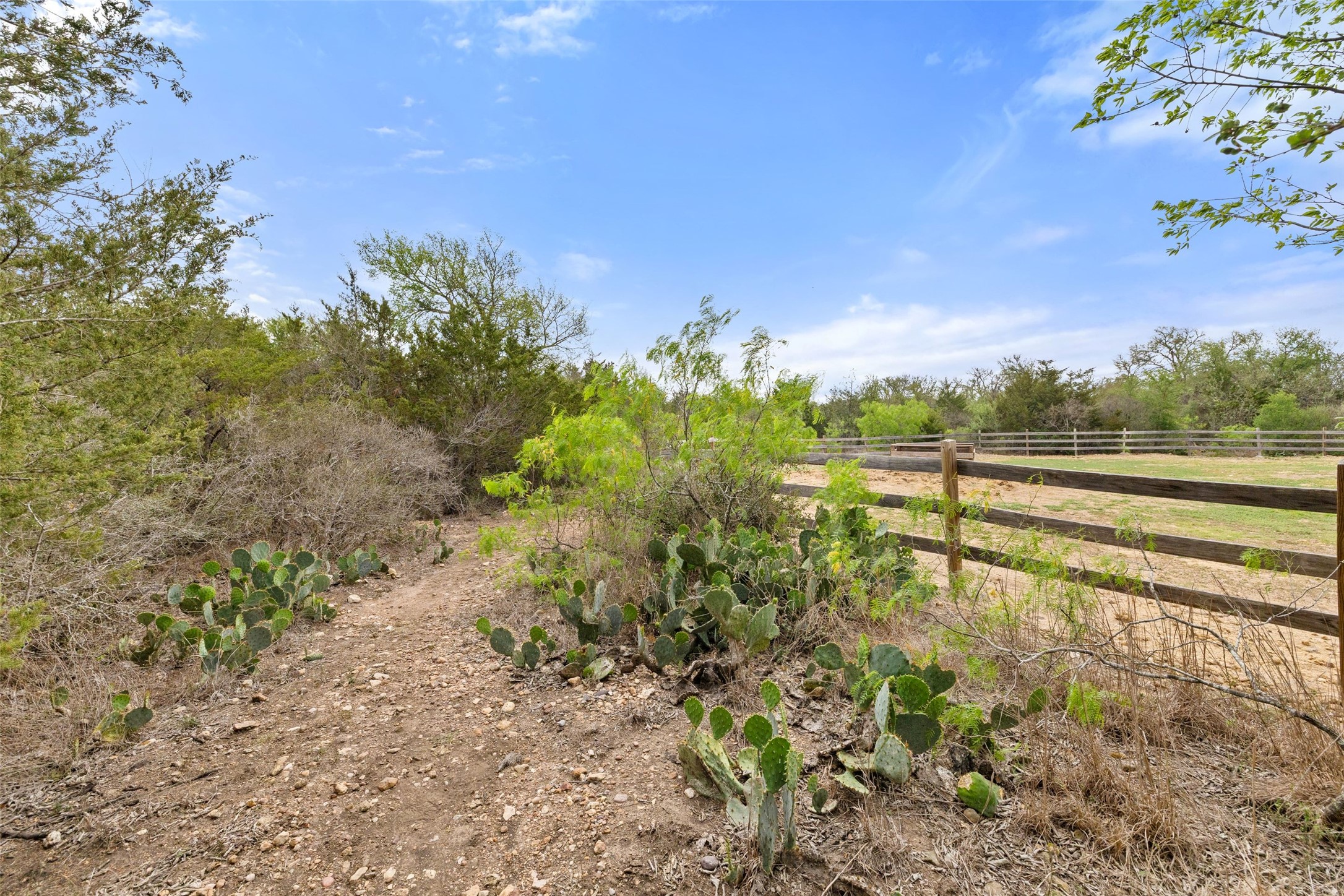 9426 Bock Road Buda, TX 78610 - Photo 13 of 33