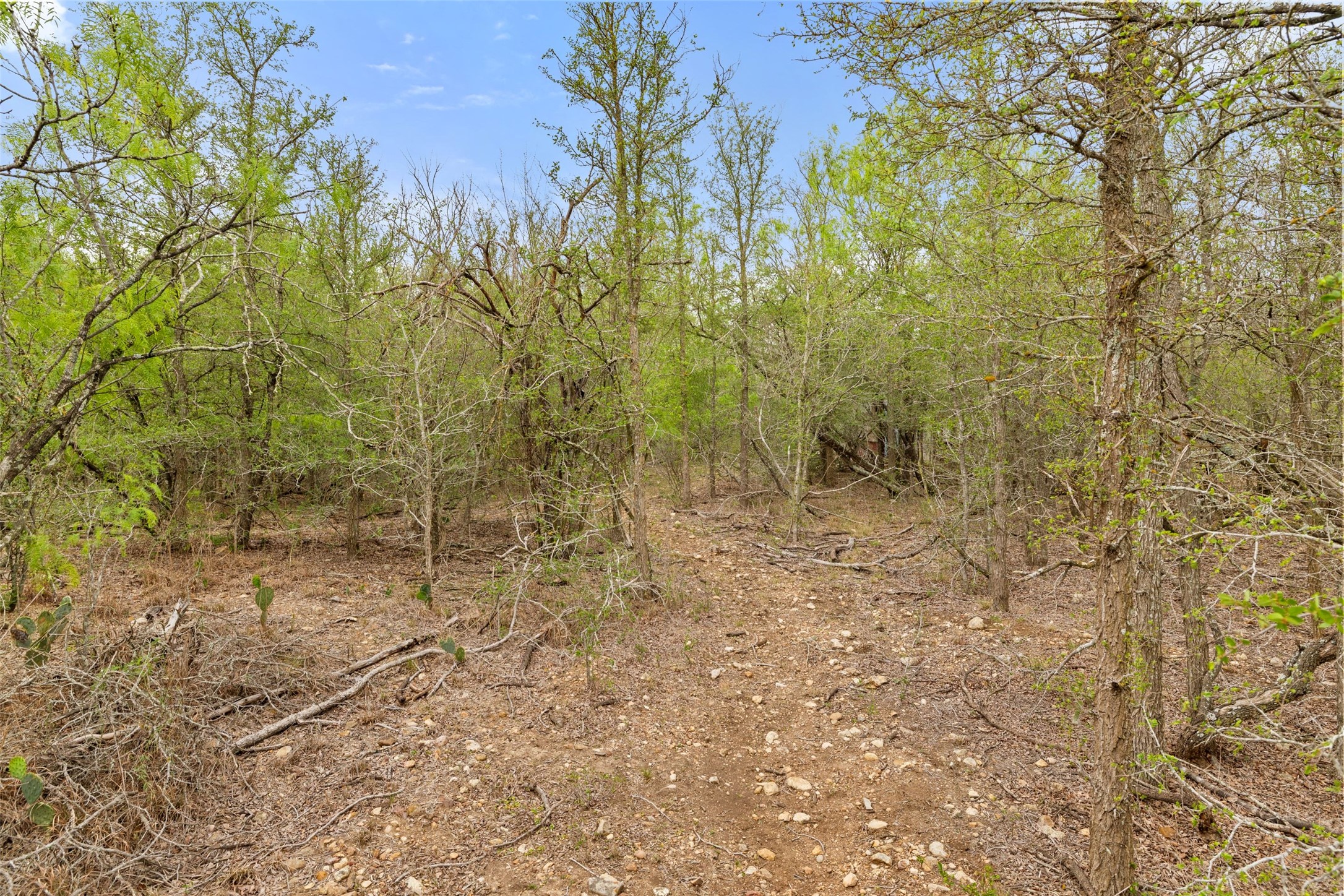 9426 Bock Road Buda, TX 78610 - Photo 20 of 33