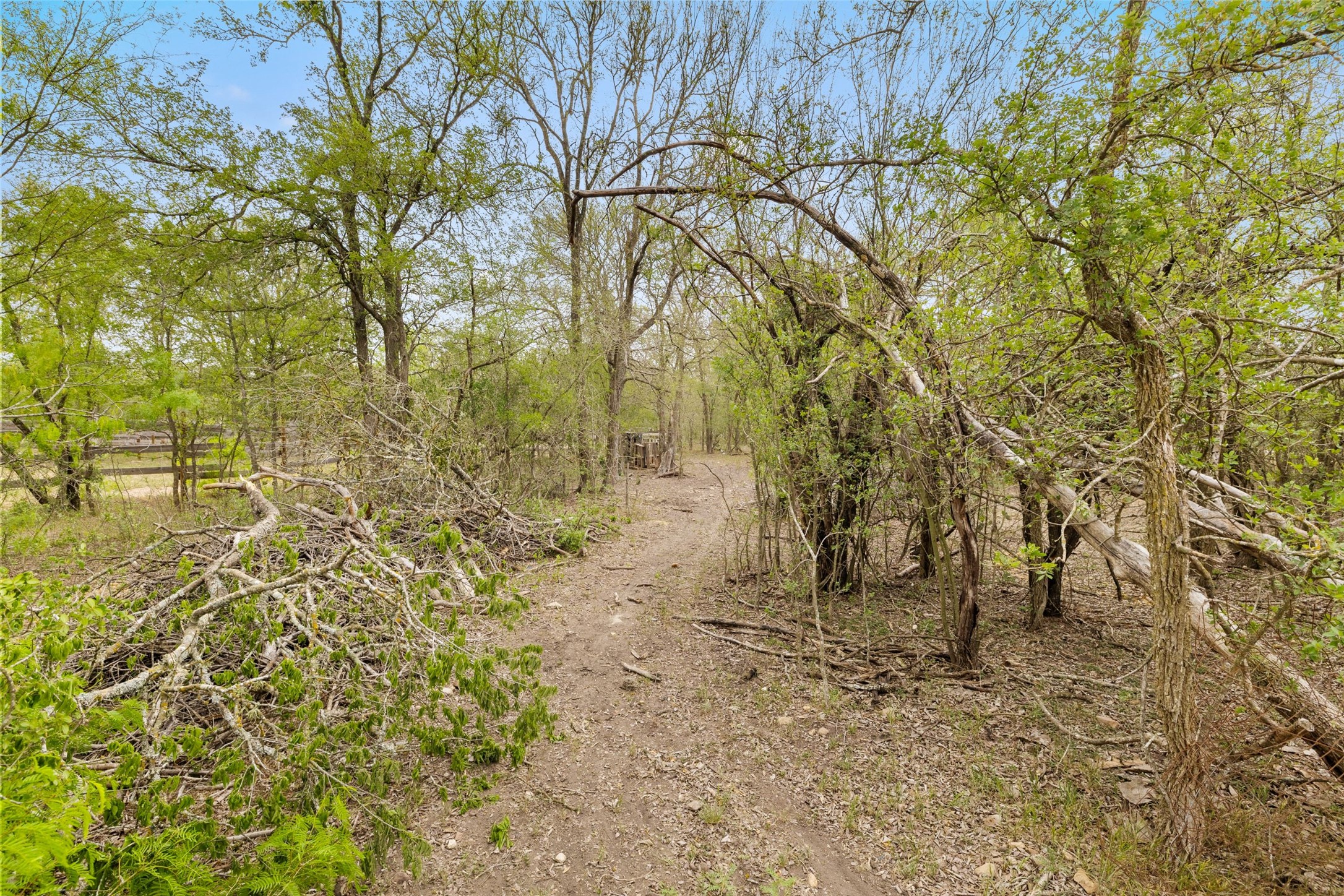 9426 Bock Road Buda, TX 78610 - Photo 9 of 33 The trails go around the perimeter of the lot