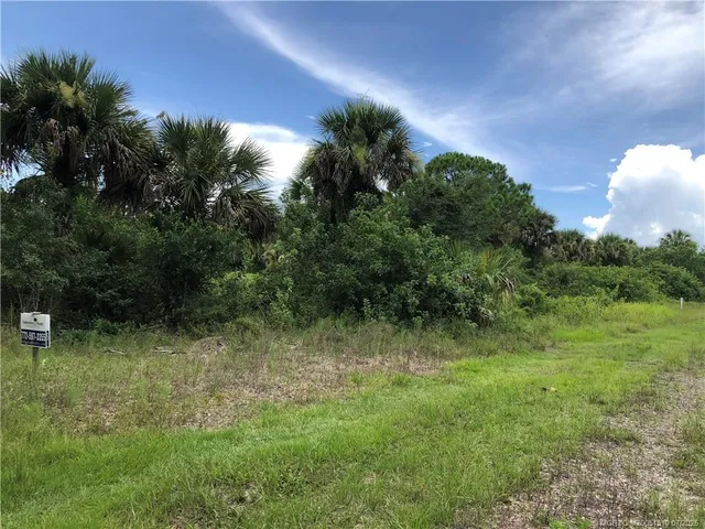 a view of a lush green space