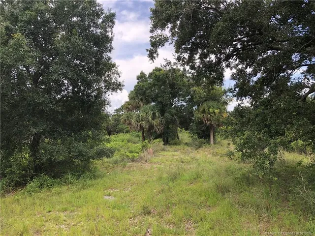 a view of a yard with plants and large trees