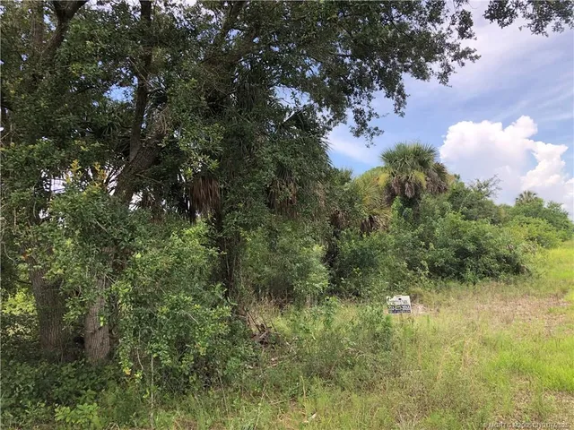 a view of a bunch of trees