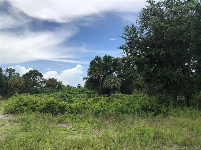 a view of a lush green space
