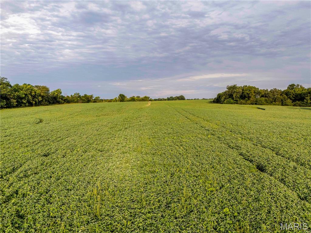 0 293 County Road Kahoka, MO 63445 - Photo 10 of 65 Gallery Image 10