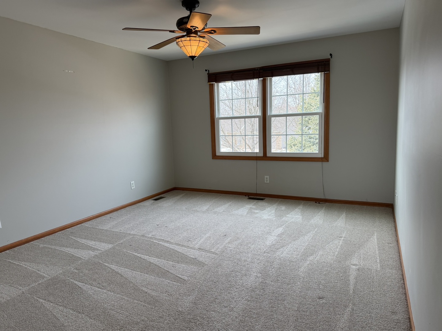 773 Ridge Drive Elburn, IL 60119 - Photo 13 of 18