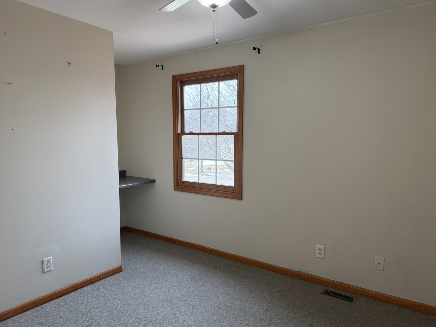 773 Ridge Drive Elburn, IL 60119 - Photo 9 of 18