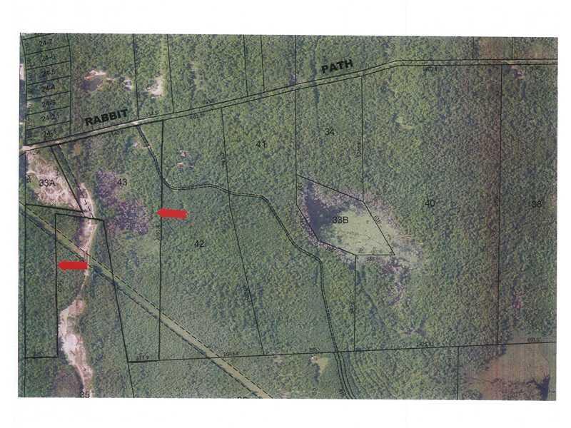 0 Rabbit Path Corinth, ME 04427 - Photo 11 of 11 Aerial View.