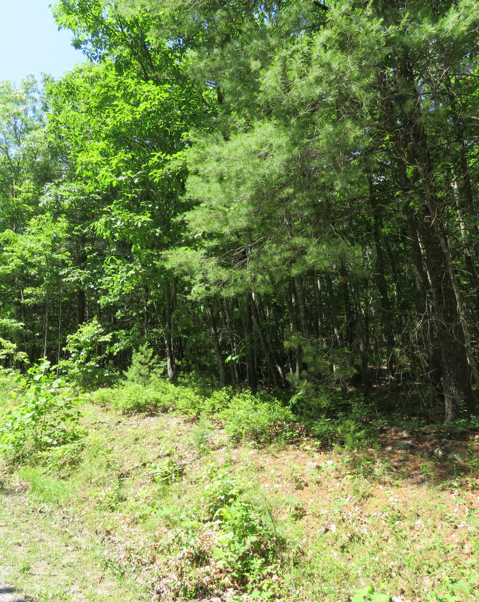 Lot 1 Galax Road New Castle, VA 24127 - Photo 2 of 4 PRIVATE location