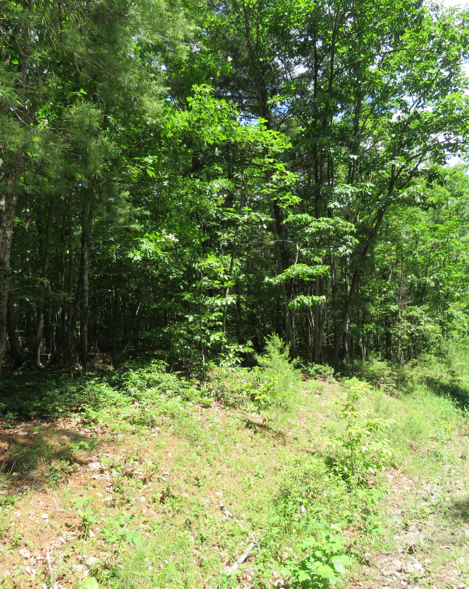 Lot 1 Galax Road New Castle, VA 24127 - Photo 4 of 4 Convenient to Roanoke/Salem