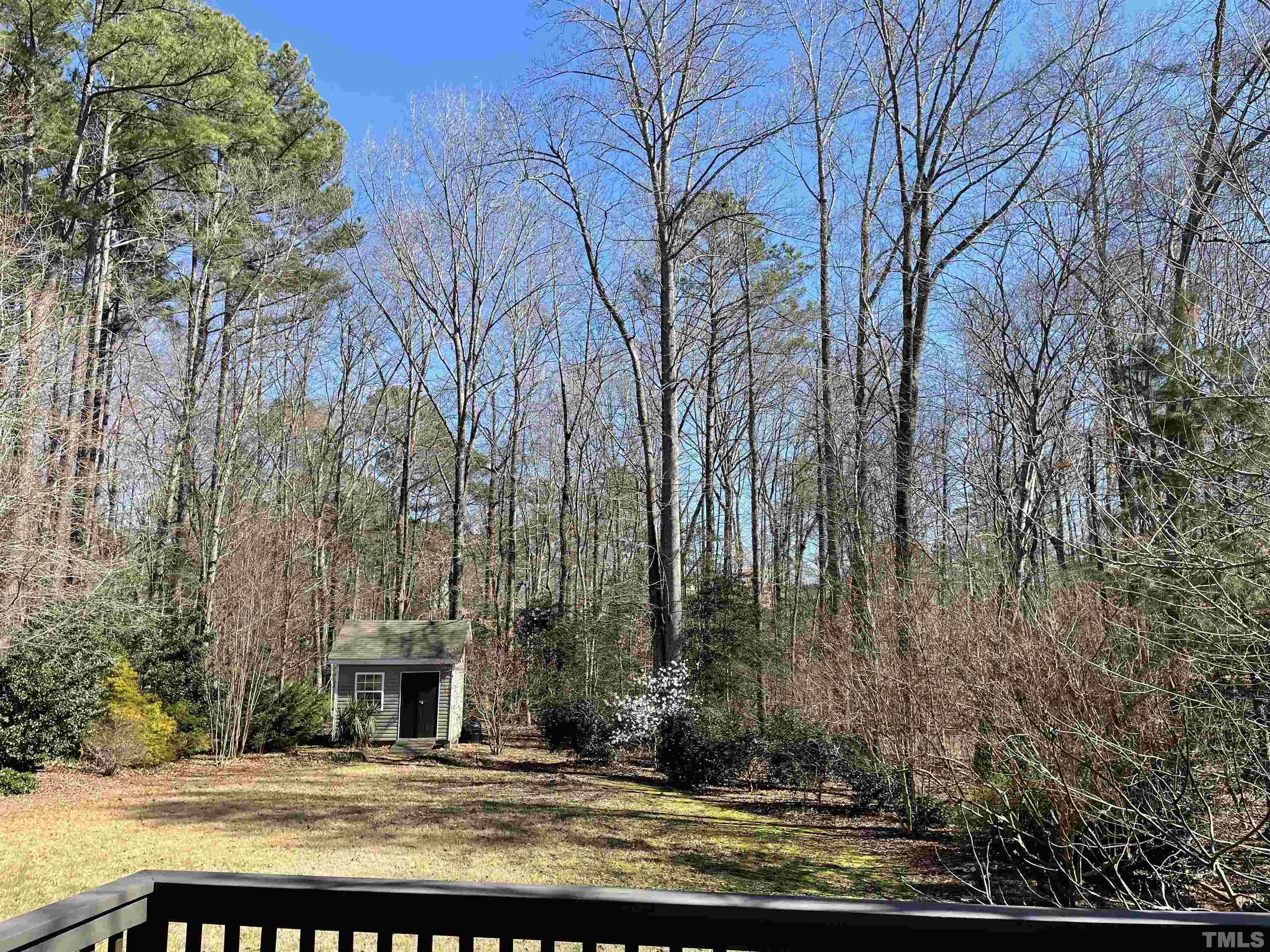 1413 Shady Rise Glen Raleigh, NC 27603 - Photo 6 of 39 a view of swimming pool with large trees