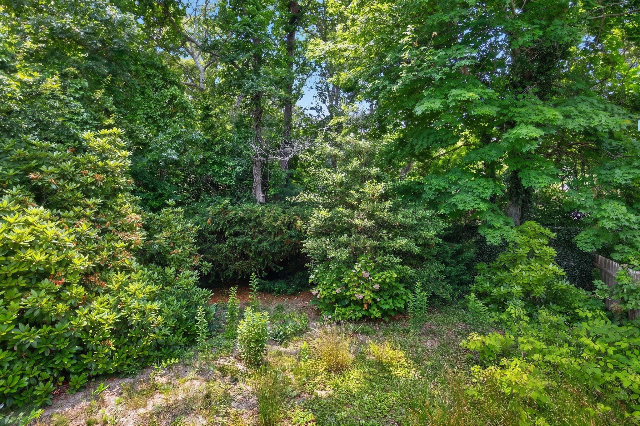 65 Richardson Road Centerville, MA 02632 - Photo 29 of 34 10-8P0A4838