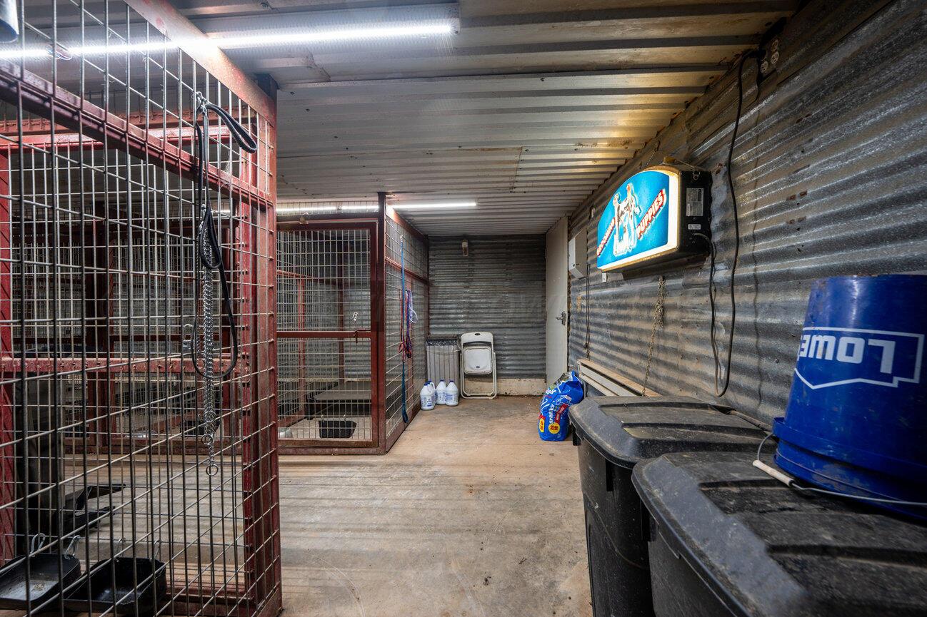 693 County Road 24 Muleshoe, TX 79347 - Photo 64 of 98 Kennel