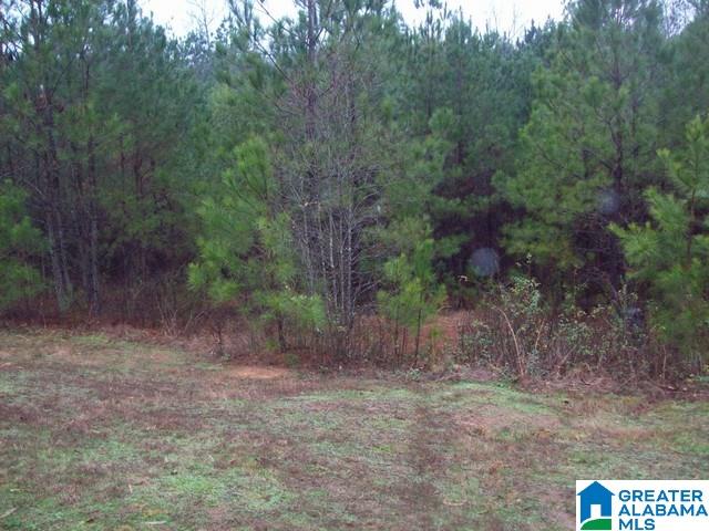 2495 Elvester Road Warrior, AL 35180 - Photo 3 of 27