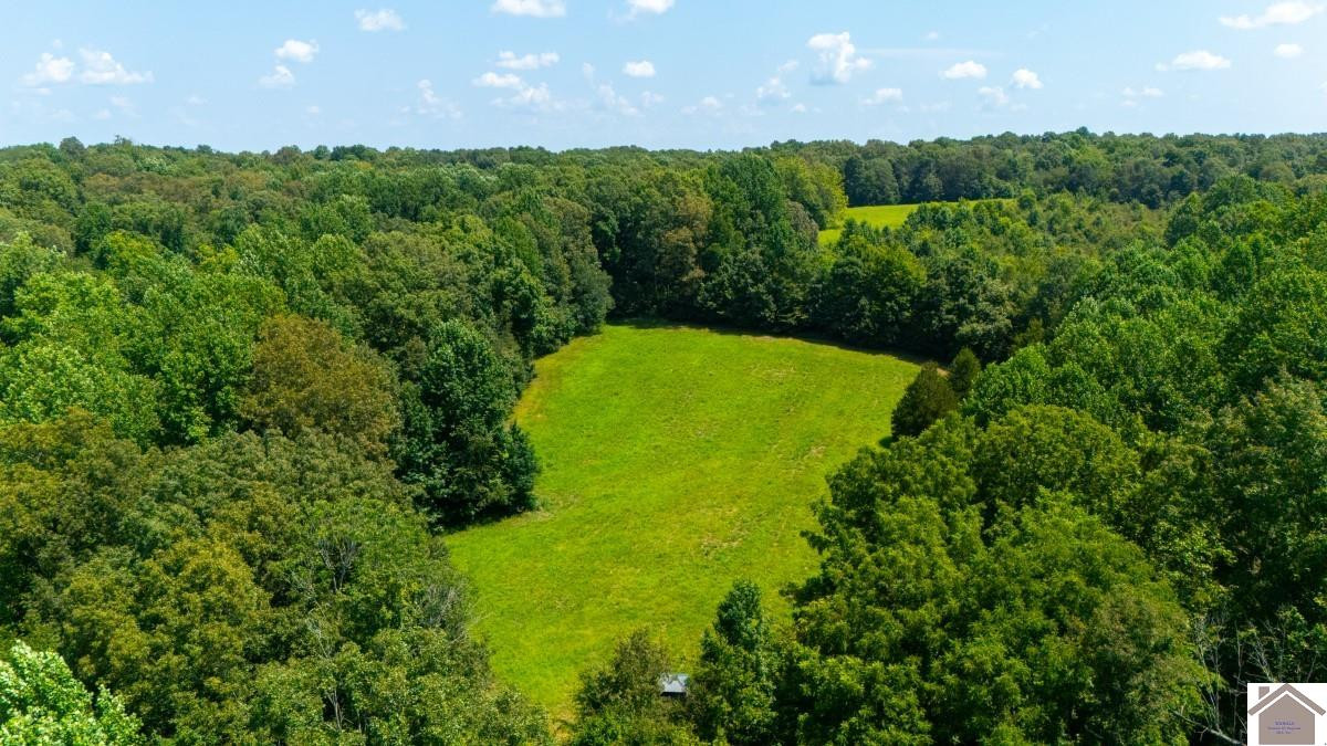 0 Wray Road Wingo, KY 42088 - Photo 16 of 39 Photo 16