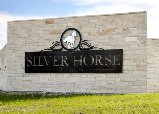 $1,000,000 | 4032 Golden Eagle Drive, Bryan, TX 77808